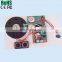 Pre-reord and recordable sound module for greeting cards