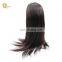 Fast shipment 100% Brazilian Virgin Human hair Full lace wigs the best hair straightener