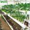 Commercial Greenhouse Hydroponic Culture Growing Systems For Sale