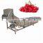 high pressure air bubble fruit washing machine,orange/strawberry/apple/lemon cleaning machine