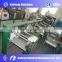 Hot selling new design linguine pressing machine for Italy