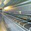 pp poultry farm manure conveyor belt Drinking system
