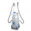 Renlang Vertical Fat Freeze Slimming Technology Hot Sale Machine Model Price