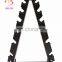A Shape 6 Pairs of Dumbbell Rack Gym Fitness Equipment