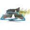 Blue Frame Outdoor Hunting Golf Fishing Hiking Sport Riding Skiing Uv400 Polarized Sunglasses Glasses 5 Lenses Case