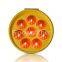 Sunflower Solar Warning Flashing Light