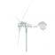 three-phase AC 48V24V outdoor household small wind energy permanent magnet 1kw horizontal axis wind turbine generator