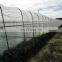 Transparent 40x25 50x25 greenhouse insect net anti insect net
