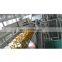 Fruit Juice Pineapple juice Production Line