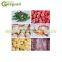 Board Belt Tunnel Freezer IQF Machine (Individual Quick Freezer)
