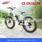 FJ-TDE07, 500w fujiang green power fat tire electric bike with lithium battery