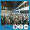 ppgi steel coil