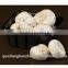 China Supply FDA/SGS Food Grade Custom Made Thermoformed Disposable Food Plastic Storage Box