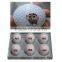 Tennis Ball Logo Printing Machine,Golf Ball Logo Printing Machine