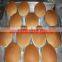 TY-8530 Hamburger bread Machine