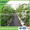 PP ground cover /ground cover/ plastic weed mats