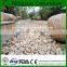 Low price Pebble Stone,Natural polished pebble