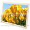 video automatic playback digital photo frames 15" 16:9 Cornice Digitale 15"