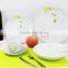 20pcs coupe porcelain dinner set with decal