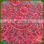 Girls Dress Choice Multicolor & Guipure Sequined Beads Embroidery Fabric