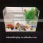 Tabletop innovative design clear acrylic lucite aquarium fish tank