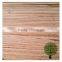 4.5mm bintangor plywood marine plywood