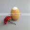 beautiful skin care cream cosmetic fruit shape bottle packaging