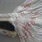 12 spindle solid braiding machinery rope knitting machine