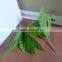 wholesale real touch artificial palm tree leaves
