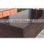 hot sale! high quality 15mm film faced plywood for construction