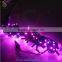 Waterproof 24V Transparent LED Christmas String Lights