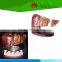 Direct factory supplied 4-stage human liver model
