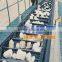Black Corrugated Sidewall Conveyor Belt
