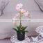 Factory Home Decoration Artificial Fabric Plant Flower Wholesale Butterfly Orchid Flower