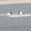 RIB boat 5.2m RIB520 with SAIL Outboards 40HP/60HP