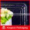 Clear Square Cookie Container, Hinged Lid Cookie Container