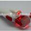 Mini home led bio-light therapy titanium needle derma roller machine L004