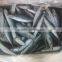 Frozen Pacific Mackerel Fish Whole Round