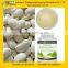 GMP Cretified Factory Supply Losing Weithgt White Kidney Bean Plant Extract