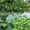 Factory price Griffonia Seed Extract 98% 5-HTP
