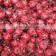 Hibiscus sabdariffa Extract 5:1,10:1,20:1and spray-dried powders Hibiscus sabdariffa Extract