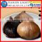 Japanese Fermented Black Garlic Imported from Chinese Factory Wholesale Dierectly