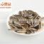 shelled Sunflower Seeds in bulk