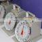 10KG, 20KG AND 30KG SPRING SCALE WITH ROUND PAN