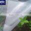 Hot selling Muti-span clear plastic film for greenhouse