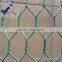 PVC coated /galvanized hexagonal wire mesh /chicken mesh(factory)