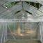 Popular Hot Sale China Latest Model Aluminium Garden Greenhouse Withstand Heavy Winds and Snows
