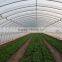 Cheap price film tunnel greenhouse mist irrigation system