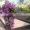 indoor and outdoor reusable china plasticflower pot manufacturers