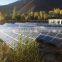 Bestsun New CE TUV prove 4020w solar powered cattail bulrush led stick light
